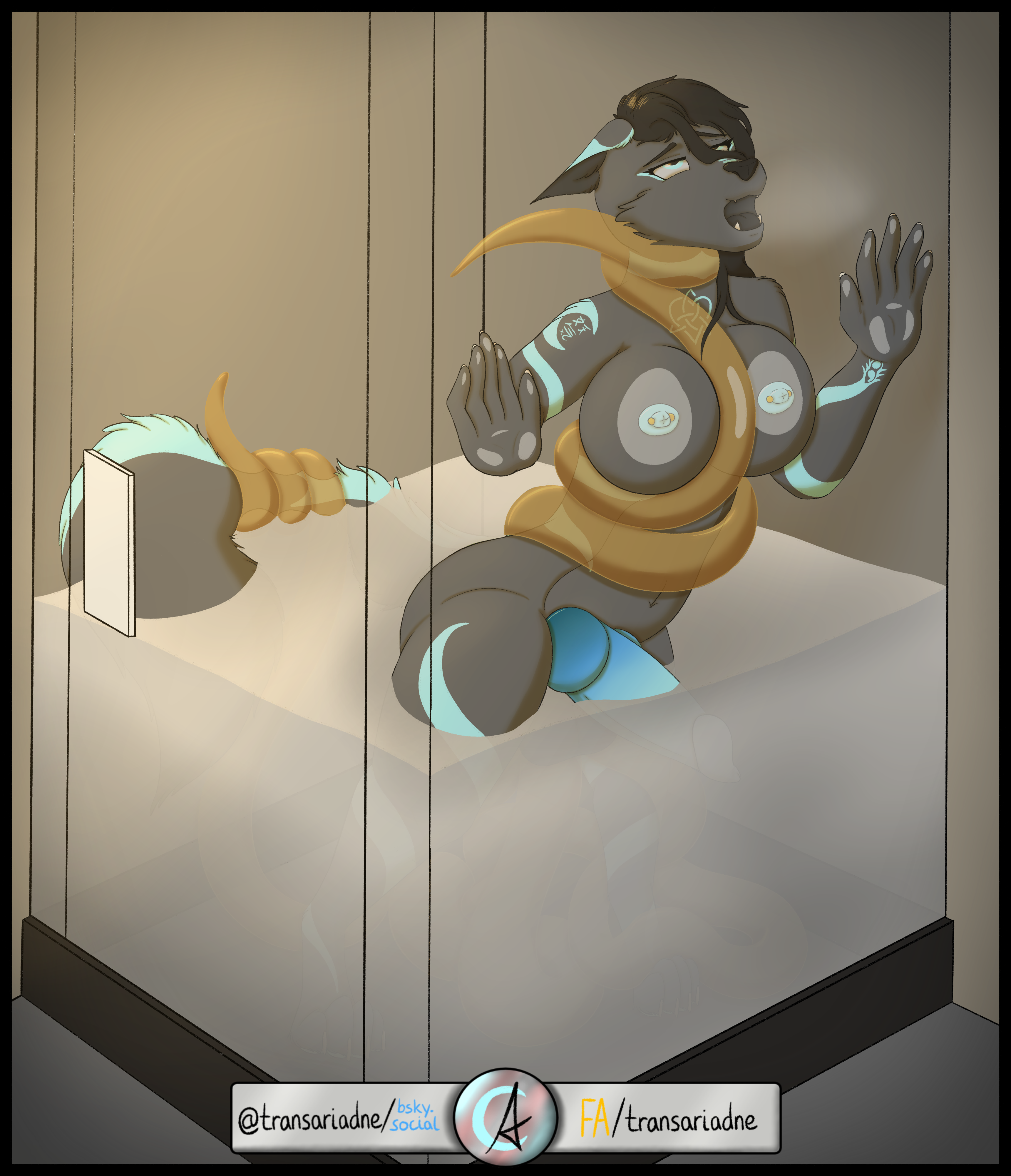 Shower (3/4)